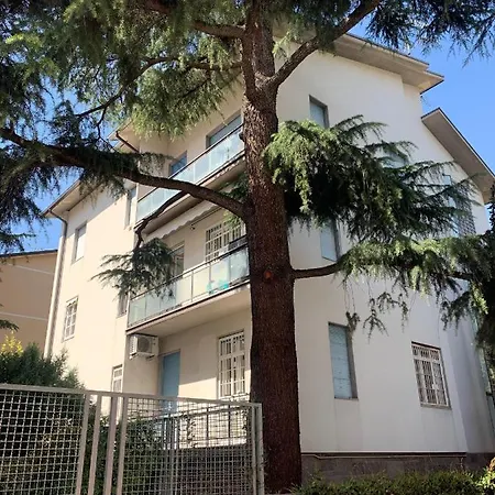 Ghisello Luxury 1 *